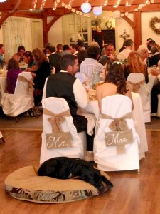 IMG_3721 copy
